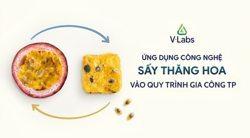 Ứng dụng công nghệ sấy thăng hoa vào quy trình gia công thực phẩm
