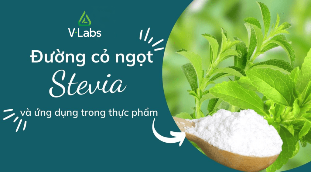 duong-co-ngot-stevia-va-ung-dung-trong-thuc-pham