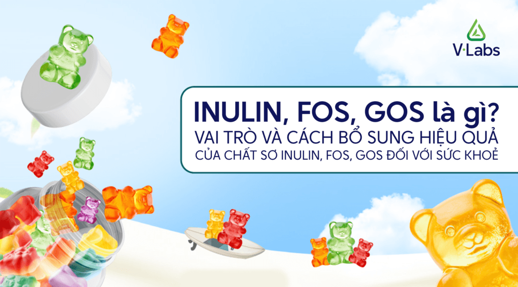 Inulin-fos-gos-co-vai-tro-gi