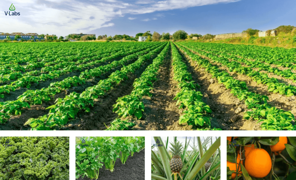 quy-trinh-san-xuat-vlabs