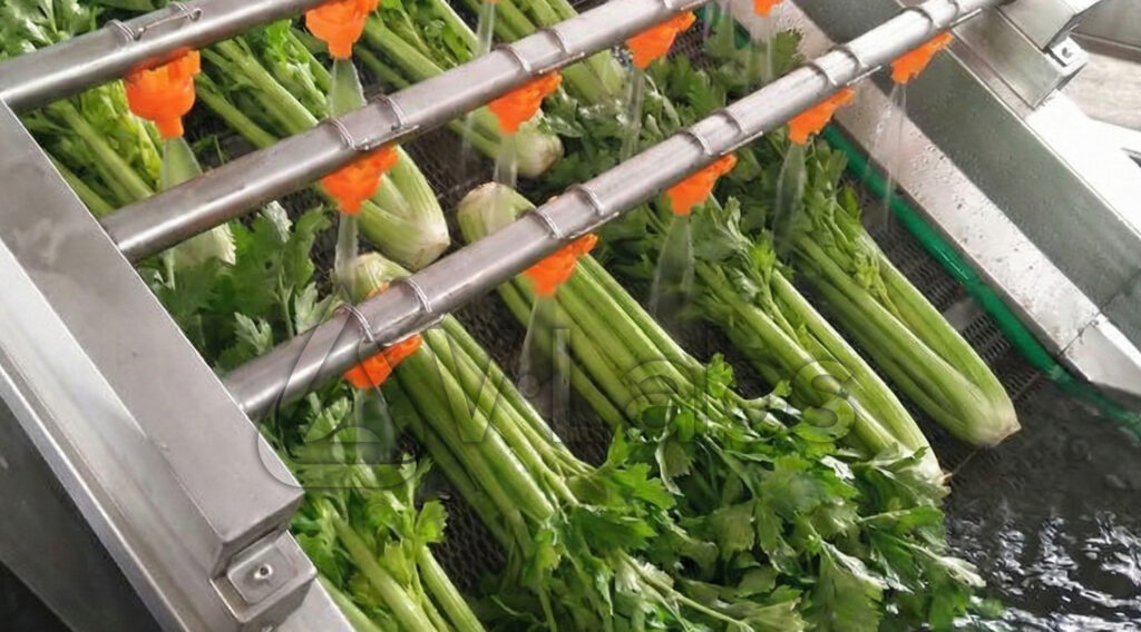 Ứng dụng nước RO trong sản xuất để rửa sạch nguyên liệu tại V•Labs.