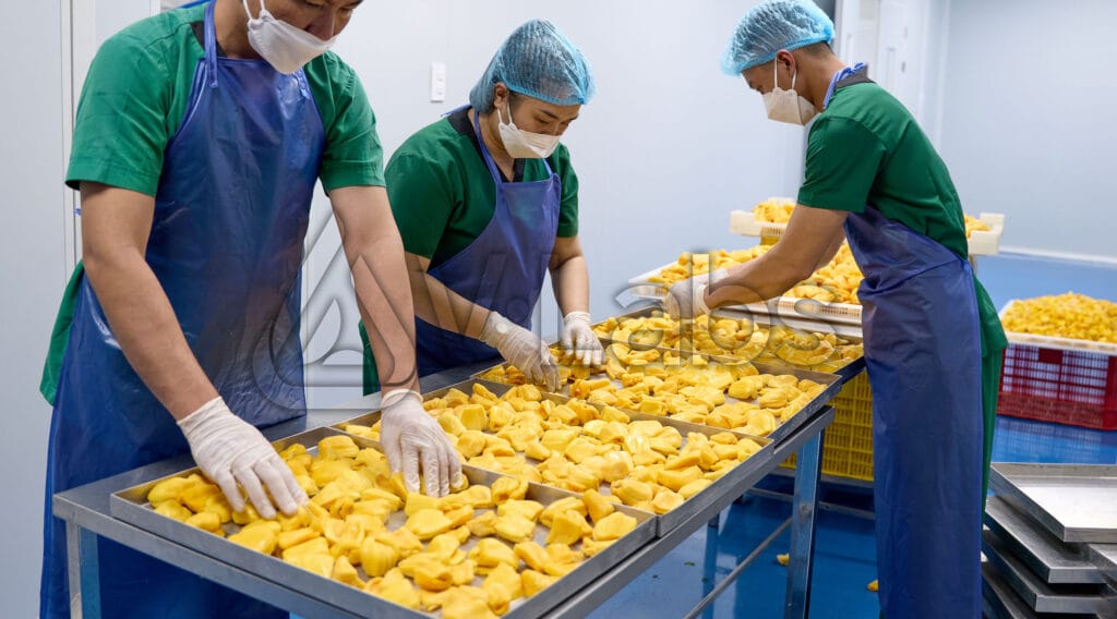 Mít Sấy Thăng Hoa: Công Nghệ Giữ Nguyên Múi, Giòn Tan Và Không Dầu