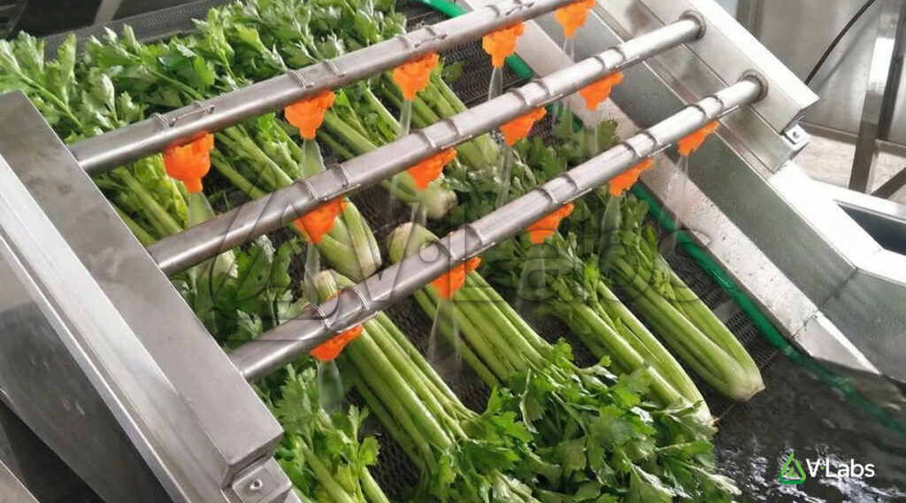 Quy trình kiểm tra nguyên liệu đầu vào nghiêm ngặt tại V•Labs