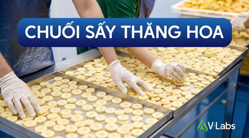 Quy Trình Sản Xuất Chuối Sấy Thăng Hoa: Giữ Nguyên Hình Dáng - Thay đổi Cấu Trúc