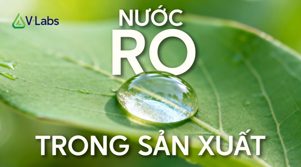 Hệ thống lọc nước RO trong sản xuất quy mô công nghiệp tại nhà máy V•Labs.
