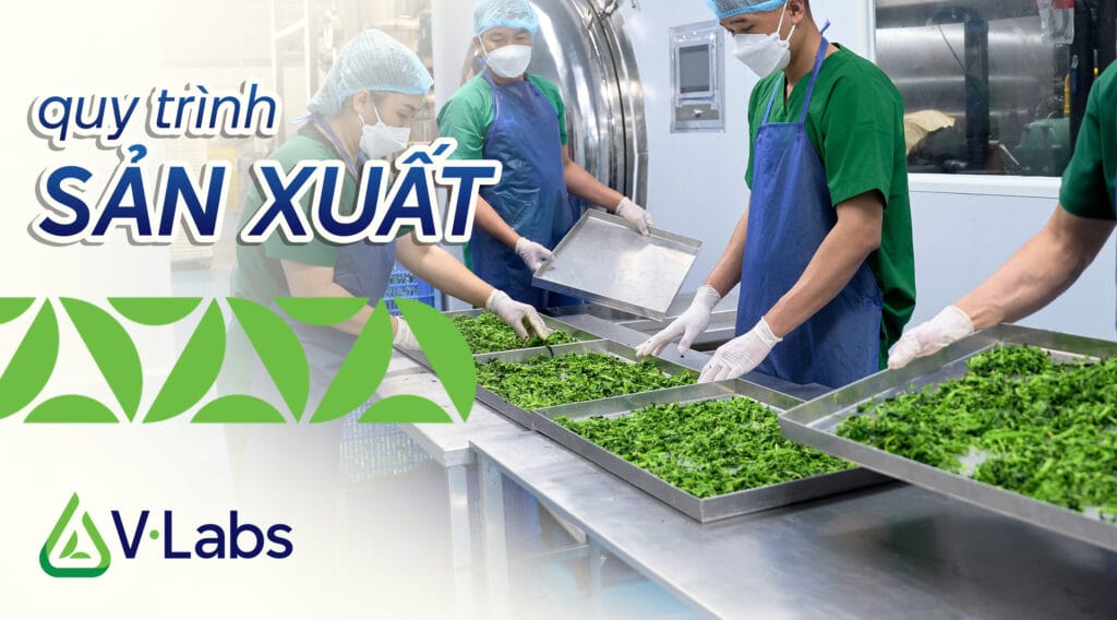 Quy trình sản xuất tại nhà máy