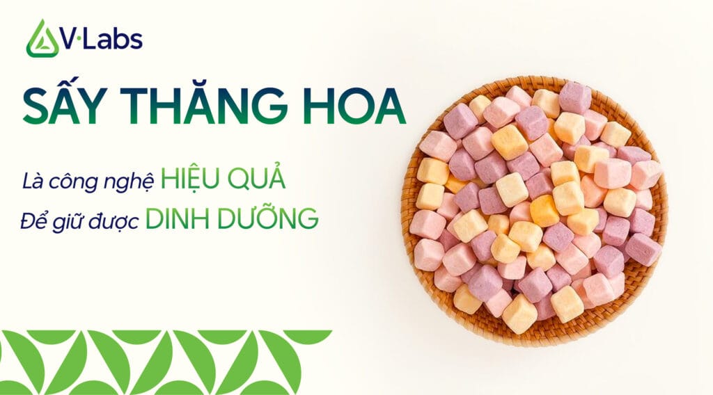 Vì sao sấy thăng hoa giữ được đến khoảng 98% dưỡng chất tự nhiên điều mà các loại sấy khác không làm được?