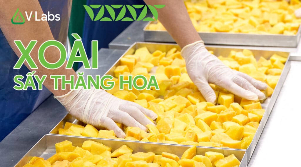 Xoài Sấy Thăng Hoa: Trải Nghiệm Vị Chua Ngọt Tự Nhiên & Cấu Trúc Tan Chảy