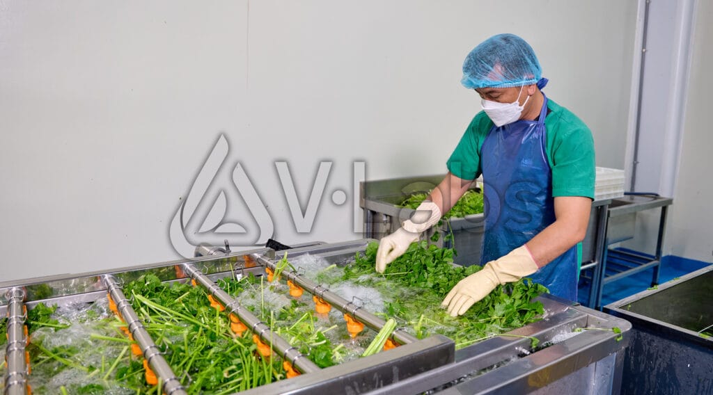 Tại Sao Nên Chọn Nhà Máy Gia Công Thực Phẩm Đạt Chuẩn ISO & HACCP