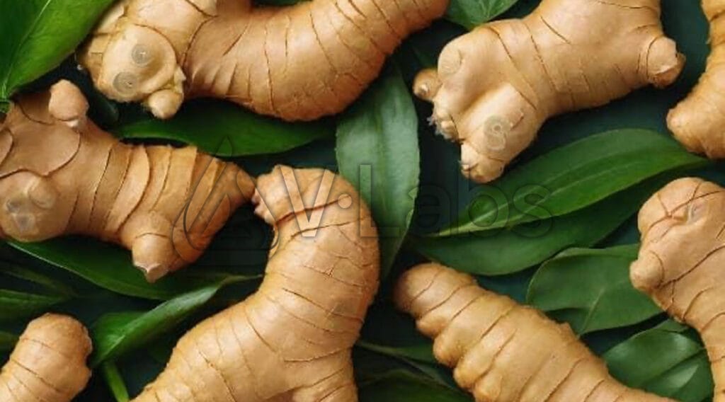 3 Công Thức Làm Ginger Shot Giúp Đẹp Da, Thải Độc & Những Lưu Ý Sức Khỏe Quan Trọng