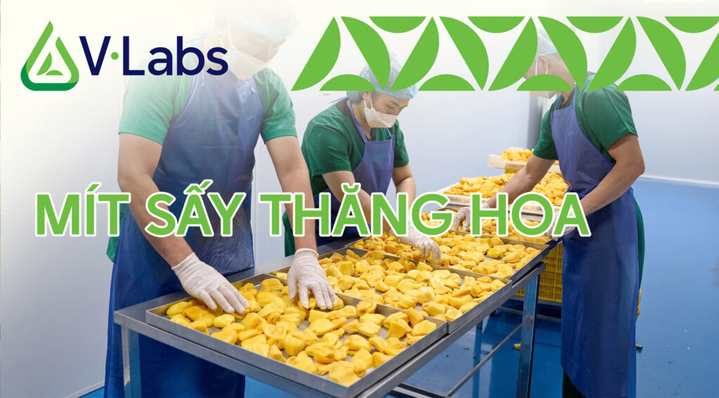 Mít Sấy Thăng Hoa: Phân Tích Ưu Nhược Điểm & Quy Trình Sản Xuất