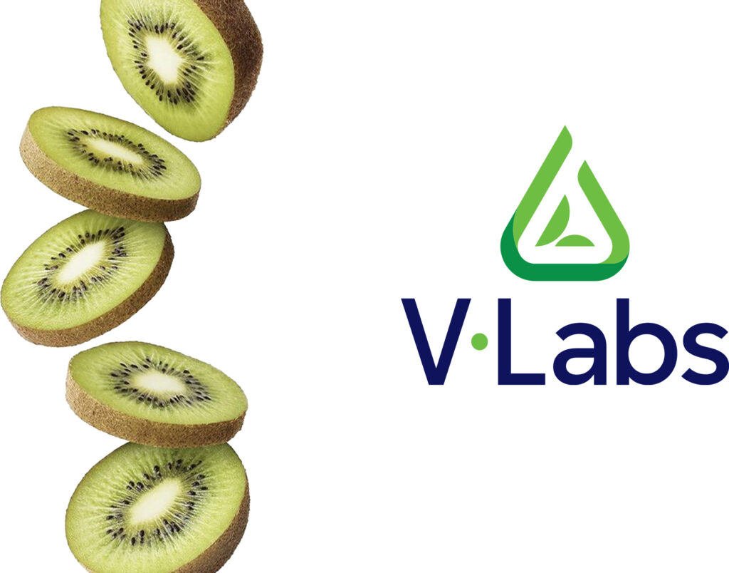  Kiwi Sấy Thăng Hoa: Vị Chua Ngọt Tự Nhiên, Giòn Tan Và Không Tẩm Đường