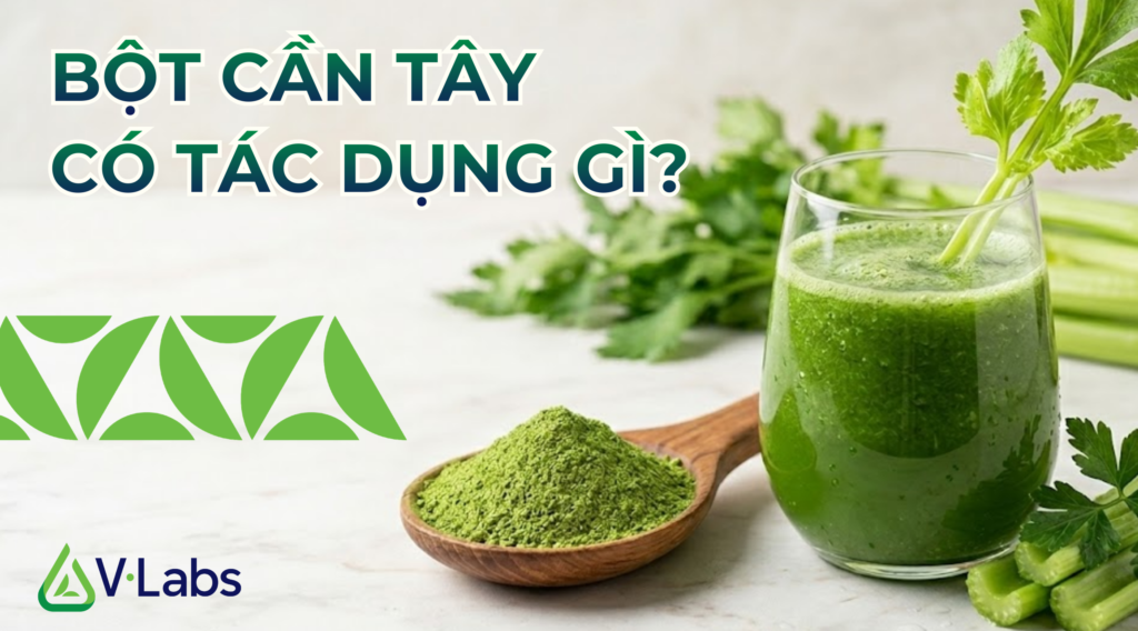 Bột cần tây có tác dụng gì
