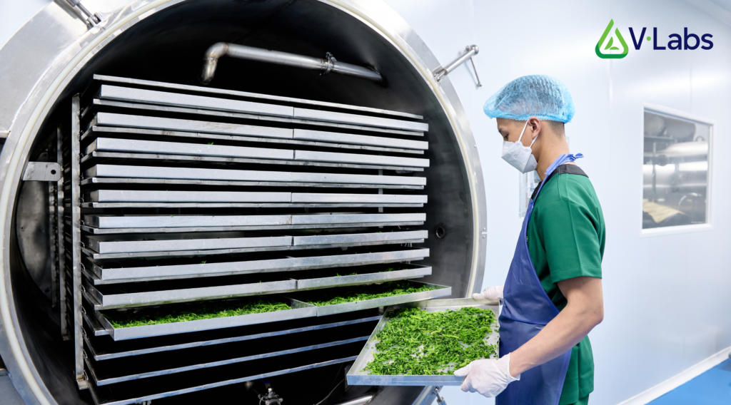 Cải Bó Xôi: 5 Tác Dụng Tuyệt Vời & Giải Pháp Gia Công Sấy Lạnh, Sấy Thăng Hoa Giữ Trọn Dưỡng Chất