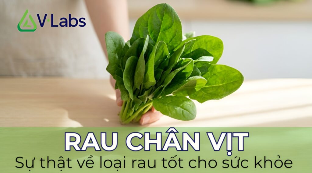 sự thật về Rau chân vịt