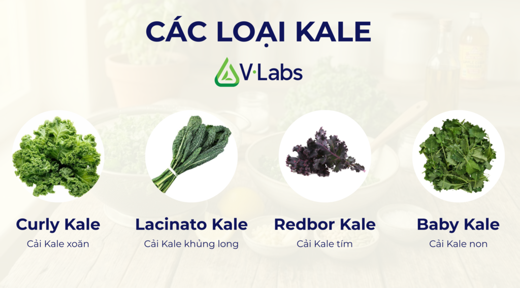 Kale
