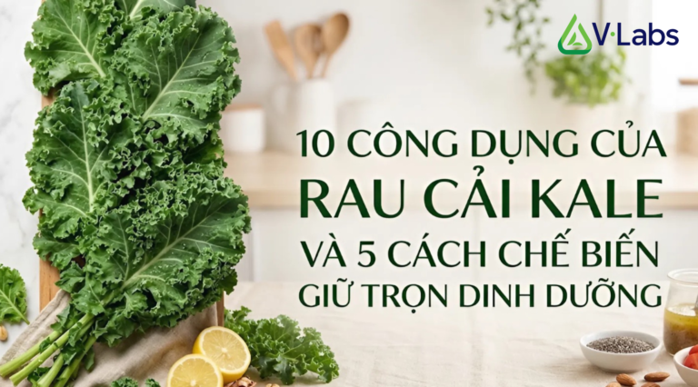 10 tác dụng rau cải kale và các dùng