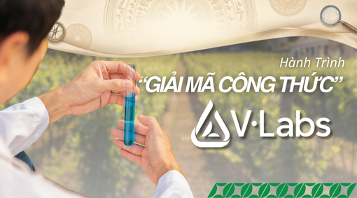 Giải Mã Whey Protein Là Gì: Phân Loại & Bí Quyết Gia Công Đạm Thực Phẩm Bổ Sung