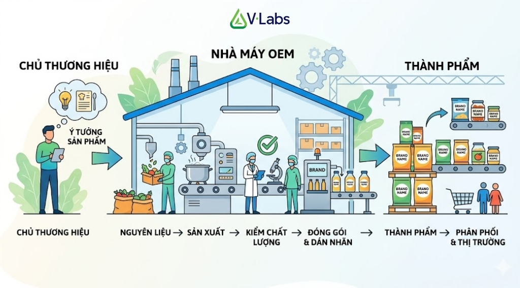Giải Mã Whey Protein Là Gì: Phân Loại & Bí Quyết Gia Công Đạm Thực Phẩm Bổ Sung