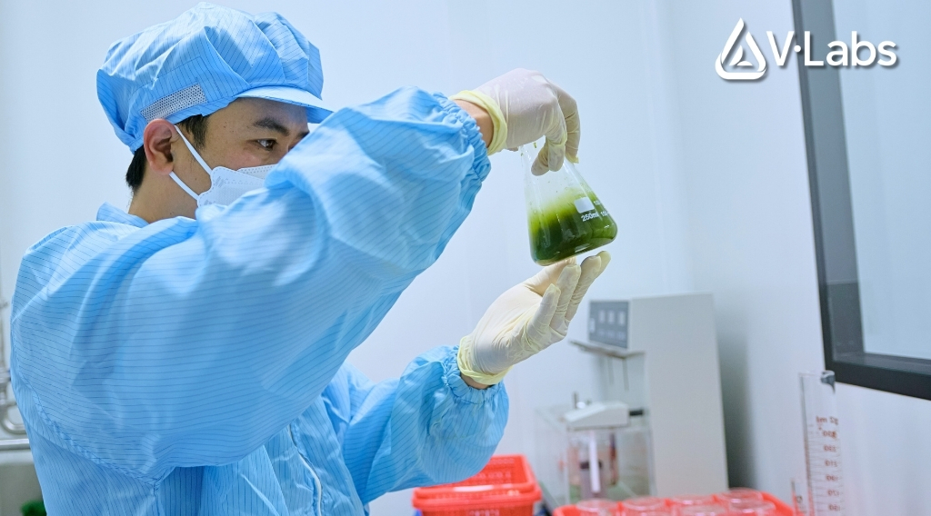 Giải Mã Whey Protein Là Gì: Phân Loại & Bí Quyết Gia Công Đạm Thực Phẩm Bổ Sung