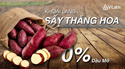 Gia Công Khoai Lang Sấy Thăng Hoa: Nâng Tầm Nông Sản Việt Bằng Công Nghệ 0% Dầu Mỡ