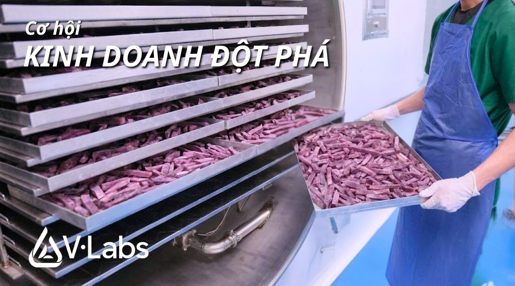 Gia Công Khoai Lang Sấy Thăng Hoa: Nâng Tầm Nông Sản Việt Bằng Công Nghệ 0% Dầu Mỡ