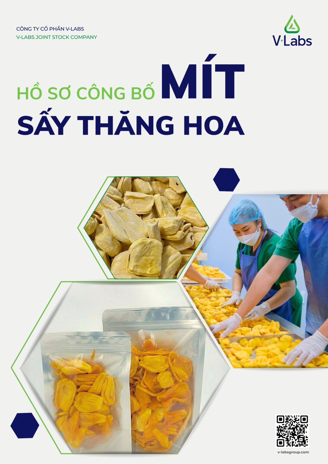 ho-so-cong-bo-mit-say-thang-hoa
