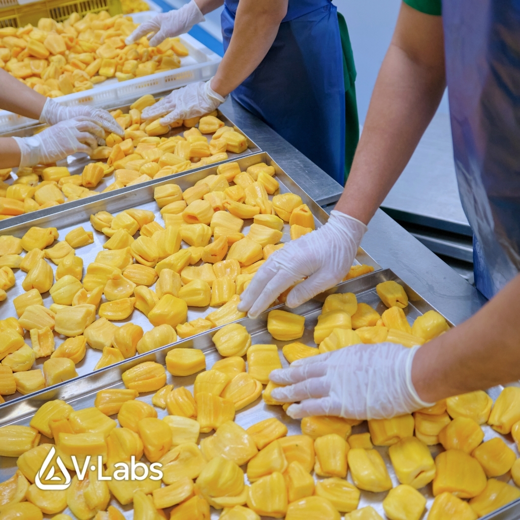 V•Labs Là Ai: Nhà Máy Gia Công Thực Phẩm Tiên Phong Mô Hình Minh Bạch Tuyệt Đối Đầu Việt Nam