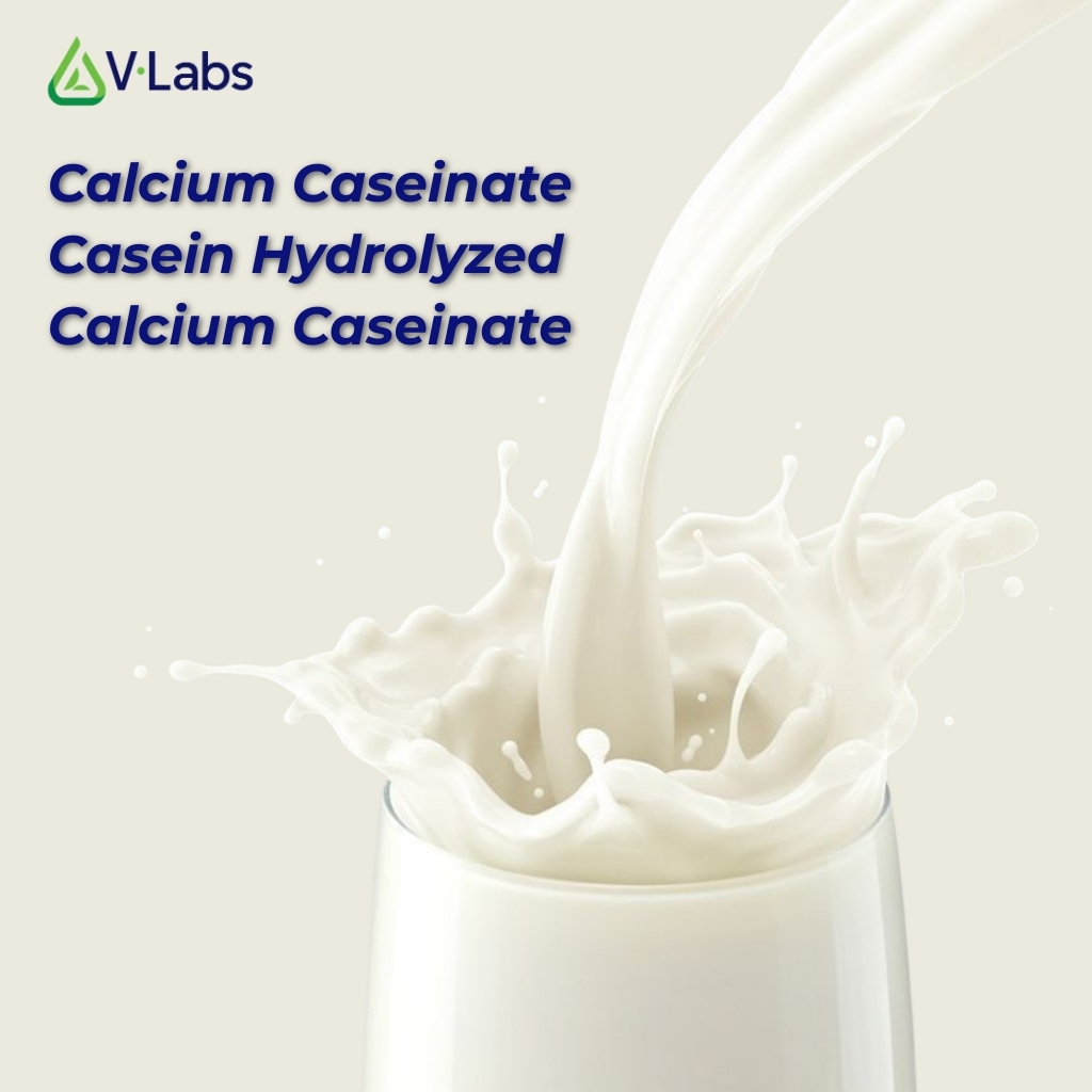 Giải Mã Casein Protein Là Gì: Nguyên Liệu Nuôi Cơ Xuyên Đêm Và Giải Pháp Gia Công Đột Phá