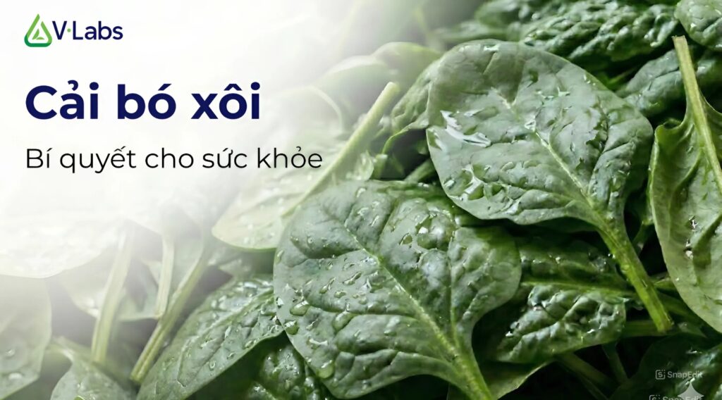 cai-bo-xoi-co-tac-dung-gi