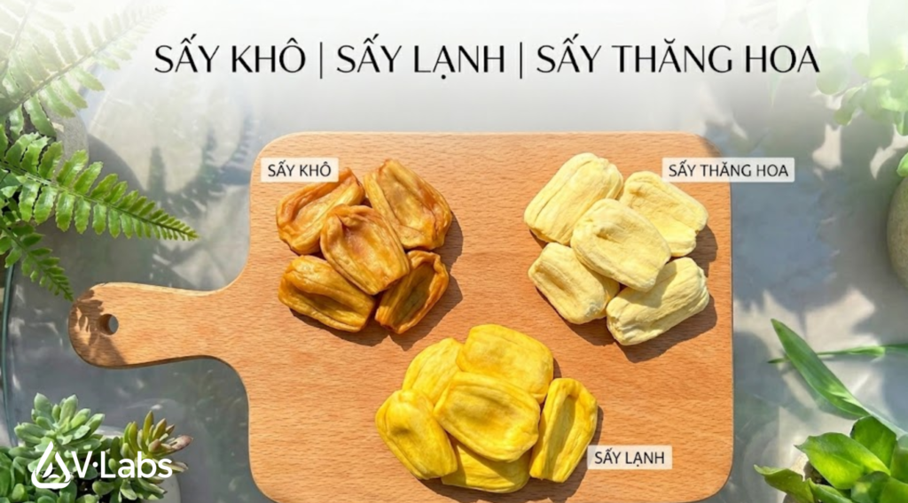 Phân biệt các loại mít sấy khô, sấy thăng hoa, sấy lạnh