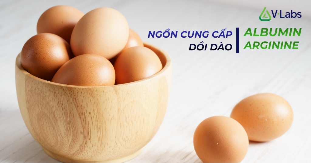 Giải Mã Egg Protein Là Gì: Tiêu Chuẩn Vàng Và Chiến Lược Gia Công Đạm Trứng Đột Phá