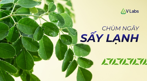 GIA CÔNG BỘT CHÙM NGÂY SẤY LẠNH