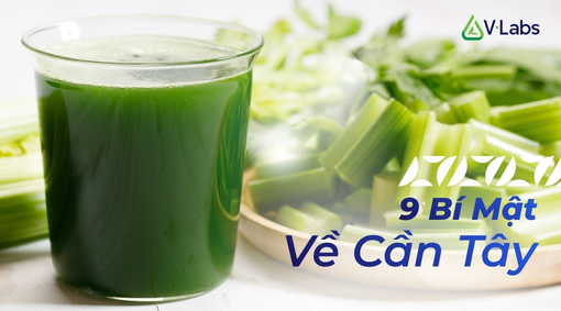 9 Bí Mật Về Cần Tây: Khám Phá Chìa Khóa Vàng Cho Sức Khỏe