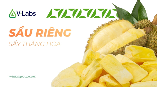 Sấy Thăng Hoa Là Gì? Siêu Phẩm Sầu Riêng Sấy Thăng Hoa Tại V•Labs