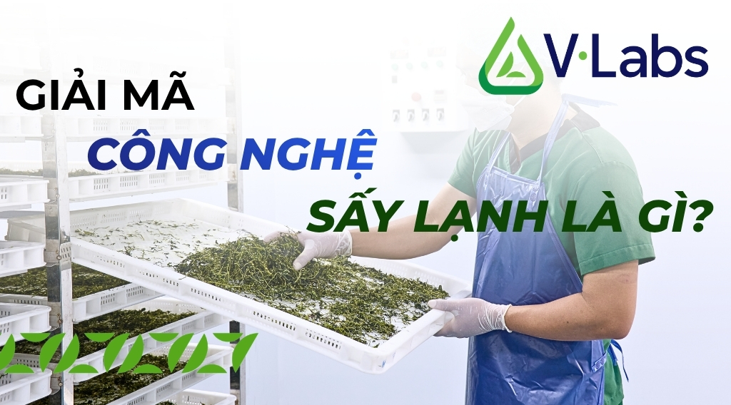 Công Nghệ Sấy Lạnh Là Gì?