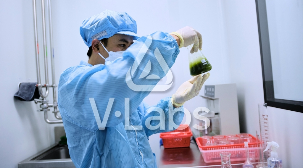 Công Nghệ Sấy Lạnh Là Gì?