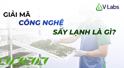 Công Nghệ Sấy Lạnh Là Gì?
